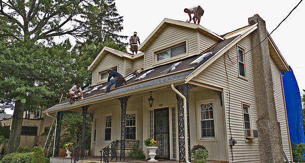 Best Roof Maintenance Services  in Vaville, CA